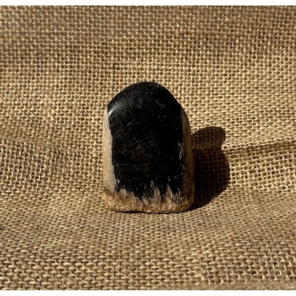 Petrified Wood From Indonesia 2.5" - Picture 9 of 12